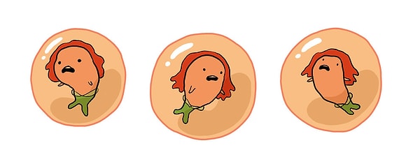 3. Рыбы откладывают икру, так что наиболее вероятен тот факт, что русалки тоже это делают. Получается, Ариэль вылупилась из икринки?