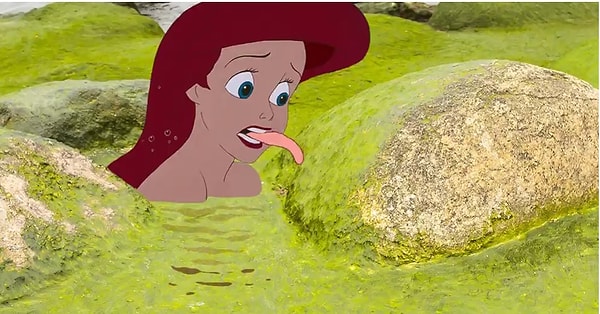 1. Давайте начнем с русалочьей еды. Они же вегетарианцы, так? А рыбы едят водоросли, так? Получается, что Ариэль только слизывает ил с камней?!