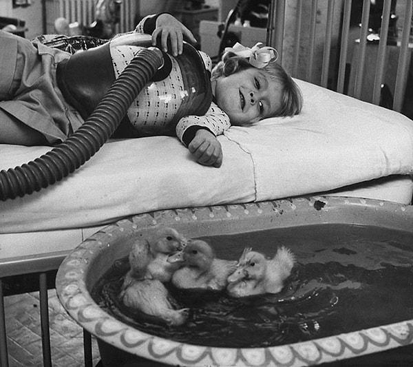 7. Medikal terapinin bir parçası olarak kullanılan hayvanlar, 1956.