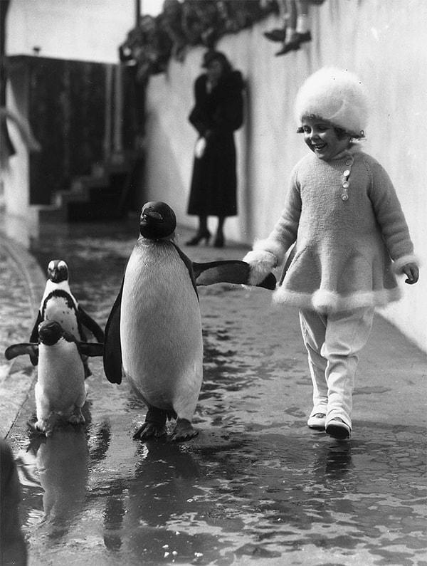 11. Londra Hayvanat Bahçesi'nde bir penguenin kanadından tutarak yürüyen küçük kız, 1937.