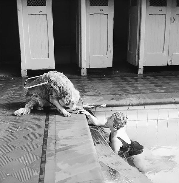 17. Rehner köpeği eşliğinde yüzme havuzunda rahatlayan görme engelli bir kadın, 1966.