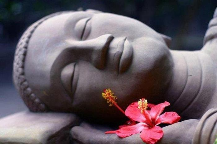 19 Zen Buddhism Teachings To Light Up Your Soul!