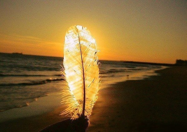 19. Искусство быть счастливым заключается в способности находить радость в простых вещах.