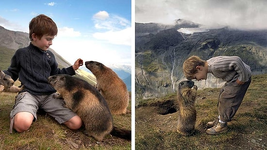 Трогательная дружба мальчика из Австралии и горных сурков из Австрии