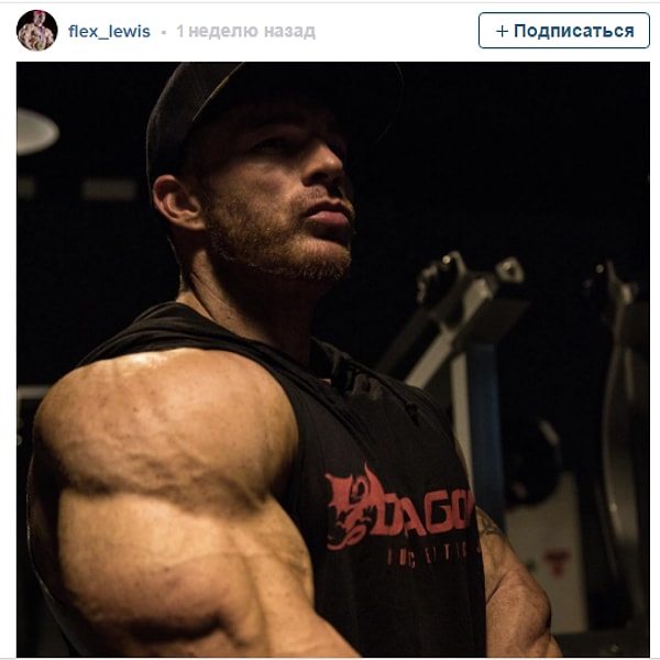 3. Флекс Льюис