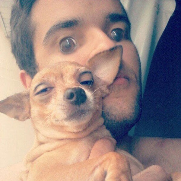 11. Наконец-то эта маленькая собачка выглядит круто