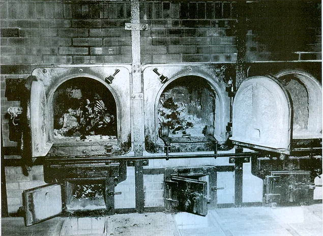 Концлагерь Освенцим - та самая печь, в которой сжигали людей.