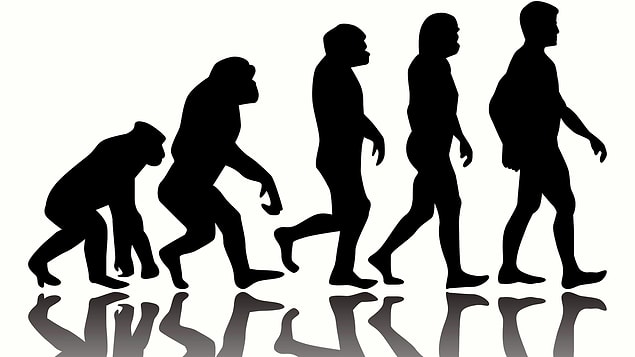 1. Evolution is not a theory.