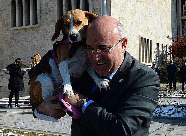 CHP İstanbul Milletvekili Mahmut Tanal, köpeği 'Dora' ile Meclis’e gelerek o pankartları protesto etti