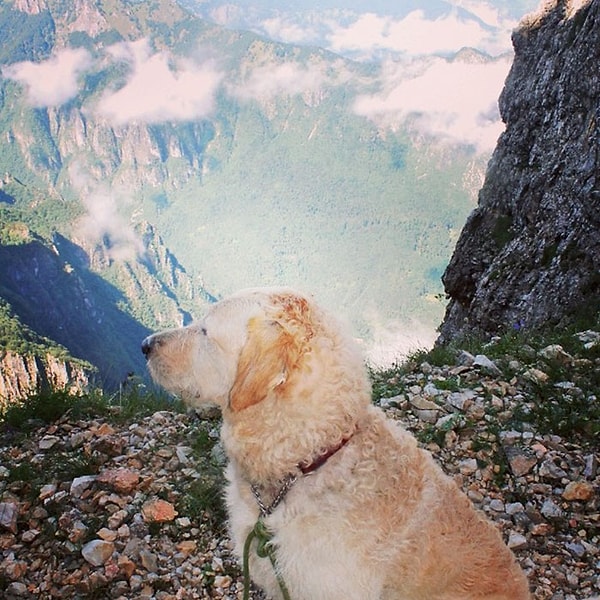 17. «Мне бы хотелось проводить по 2-3 недели в каждом месте, возможно побыть волонтером в WWOOF. Я бы хотела съездить в Испанию и Португалию в этом году»