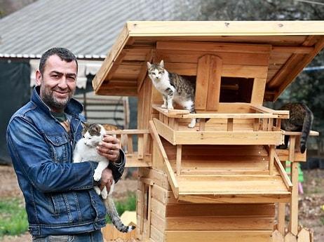 ‘Mandıra Filozofu’ndan Etkilendiler, Arabalarını Satıp Türkiye'nin İlk Kedi Köyünü Kurdular