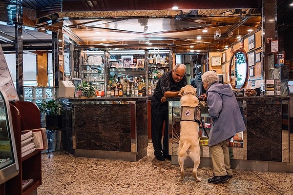 7. Теперь эта парочка просто не разлей вода. Джо помогает старушке буквально во всем