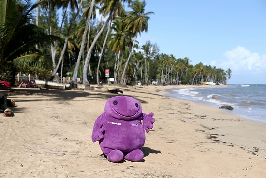 Hayat Sana Güzel: Dominik’te Gün Sayan Vadaa'dan 10 Düşman Çatlatan Paylaşım