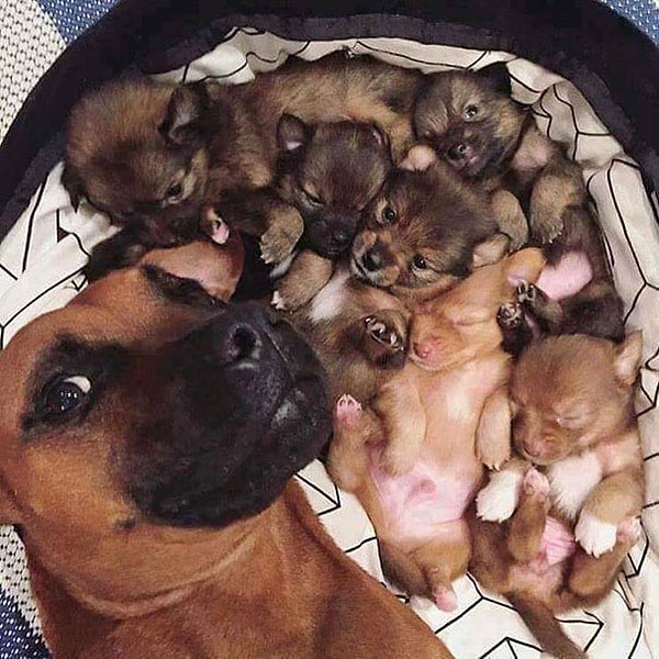 13. Селфи с детишками