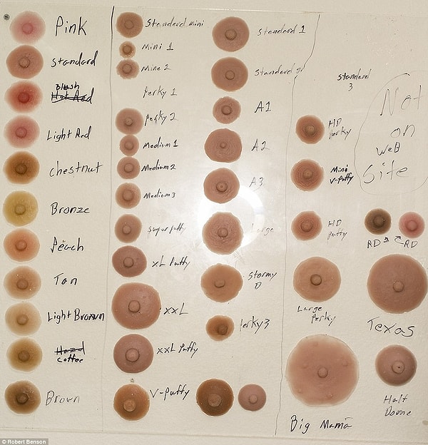 Как должна выглядеть грудь, какими будут соски - клиент принимает собственное решение по всем вопросам. Любой каприз за ваши деньги:))