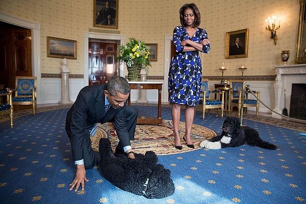 6. Michelle ve Barack Obama çiftinin minik dostları Sunny ve Bo da, Beyaz Saray turu için gelecek ziyaretçileri bekliyorlar, 5 Kasım 2013