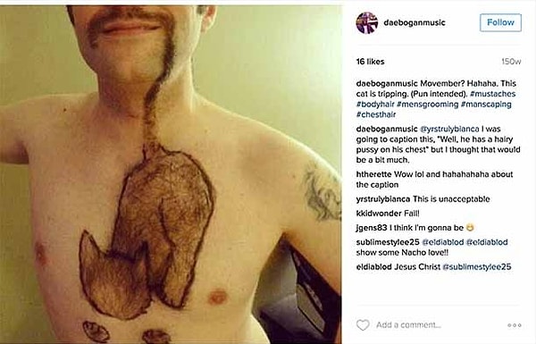 13. Любитель кисок 😿