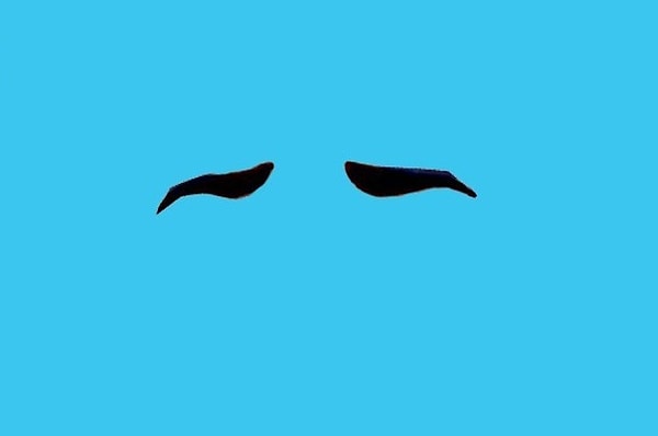 7. А какой принцессе принадлежат эти шикарные брови?