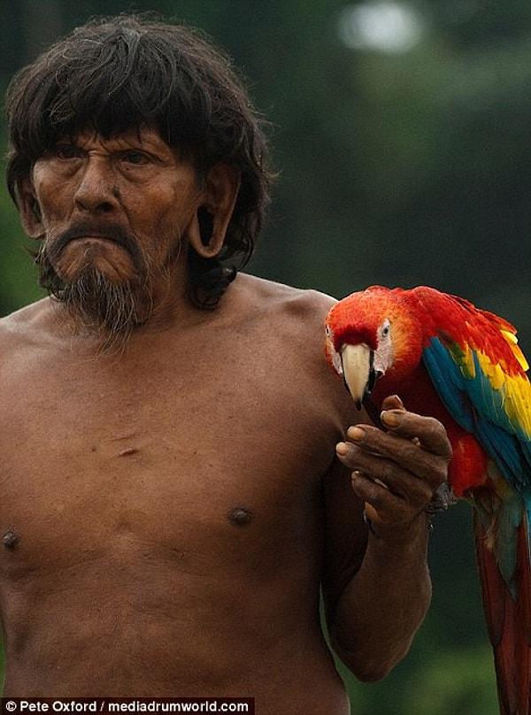 Amazon tukan kuşlarını da yiyecek olarak tüketen kabile sağdaki papağanı evcil hayvan olarak besliyor.