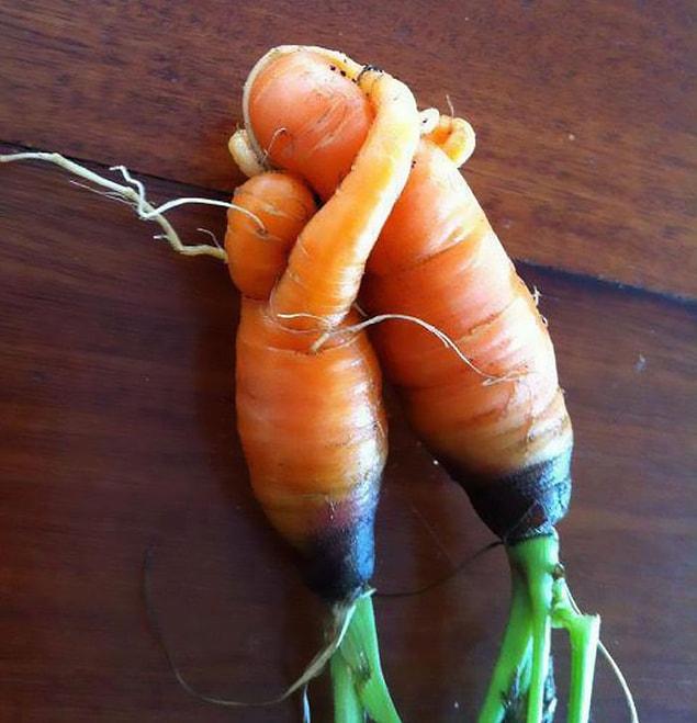 11. Yet another loving and cuddling pair of carrots.