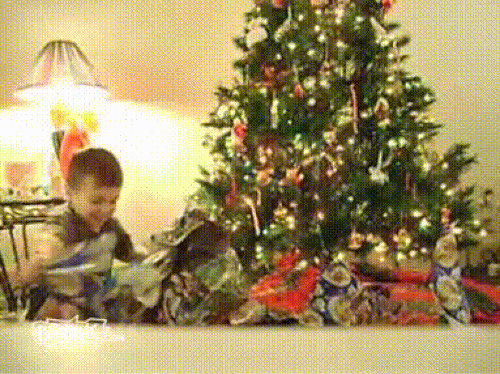 You cannot possibly expect animals to not mess with the colorful and shiny Christmas trees..