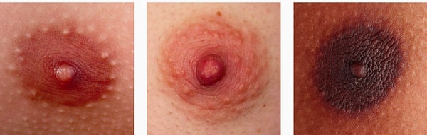 4. Первоначальной их целью было обратить внимание пользователей на несовершенные правила социальной сети, когда дело касается цензуры