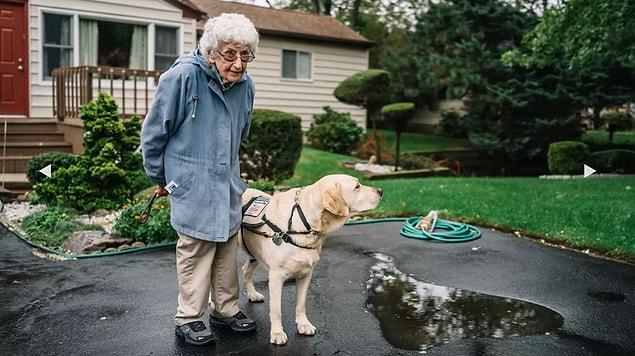 92-year-old veteran Annabelle Weiss and her service dog Joe are simply inseparable.