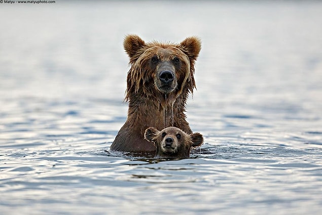 7. Enjoying the ocean.