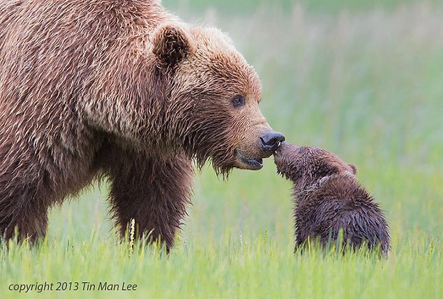13. Let mommy give you a kissy.