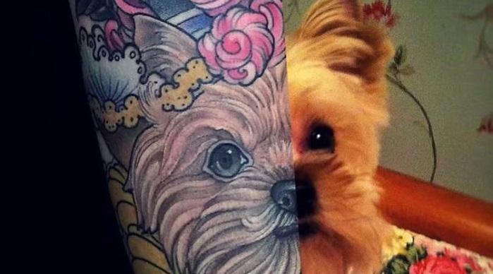 15 классных татуировок для владельцев собак