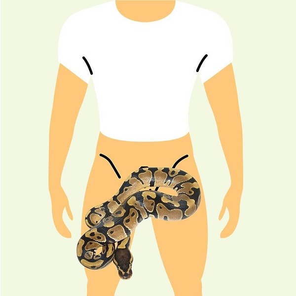 7. Англоговорящие страны — "Schlong" — Змея