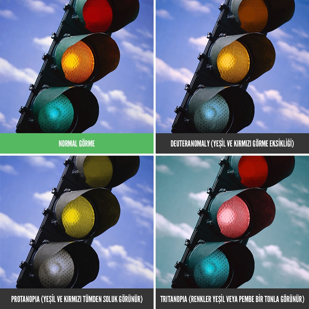 Человек Который Путает Стороны Человек Который Путает Стороны