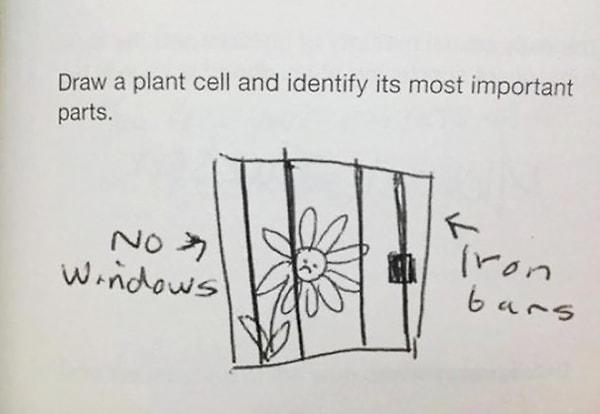 24. "Bitki hücresi çizip en önemli parçalarının isimlerini yazın."