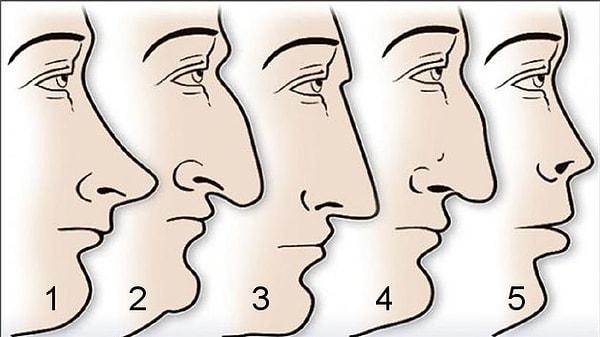 6. Burnun hangisine daha çok benziyor?