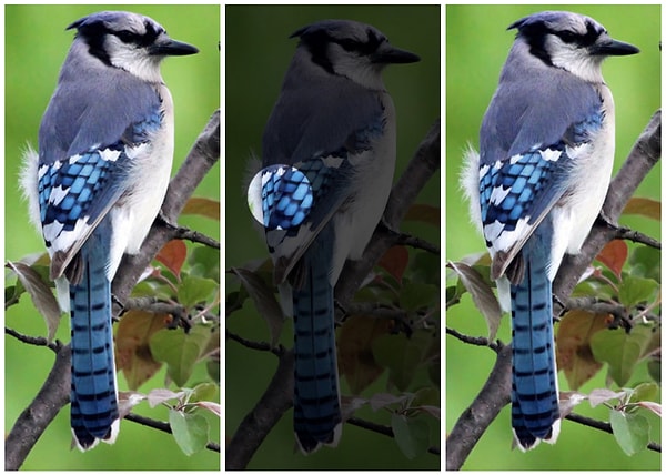 Показать правильный ответ