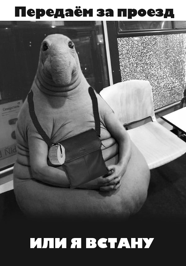 6. Серьезная угроза: