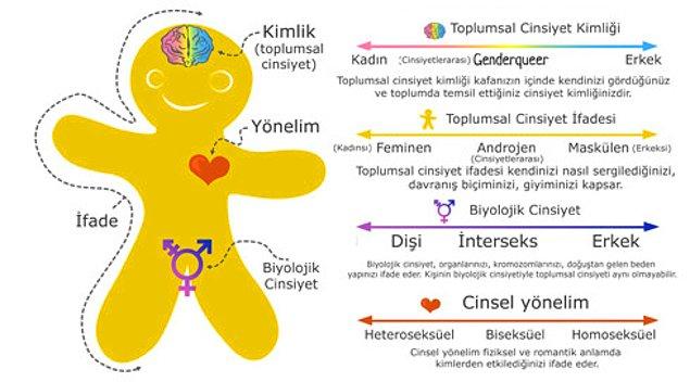 Öncelikle, bazı interseks özellikler doğumdan hemen sonra farkedilirken, bazı bireylerde ergenlik dönemine kadar ortaya çıkmıyor.
