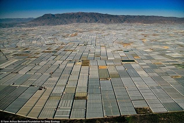 12. The area around Almeria in Spain is littered with greenhouses as far as the eye can see - simply for a richly filled dinner table.