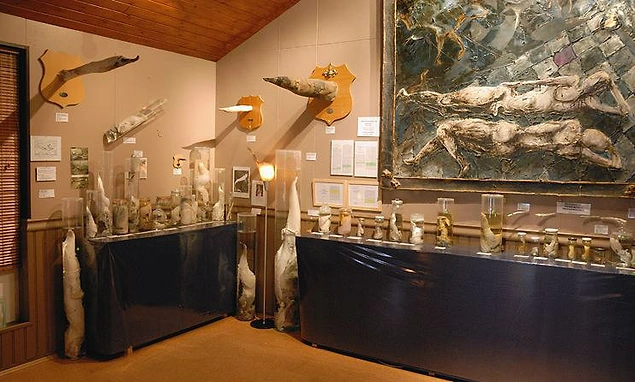 В Исландии есть музей пенисов, в котором содержится самая большая в мире коллекция фаллосов - 280 экспонатов.