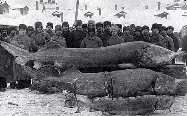 16. Sovyet Sosyalist Cumhuriyetler Birliği'nde başarılı bir balıkçı. 1924 yılında çekilmiş bir fotoğraf.