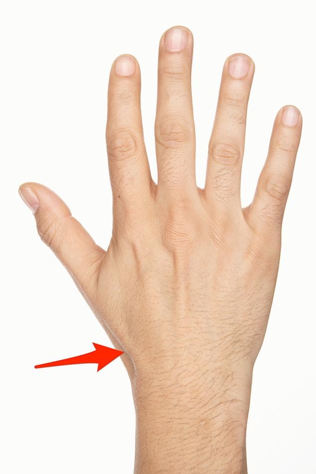 4. Anatomical snuff box: the triangular ridge between the base of your thumb and your wrist.