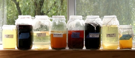 Bedava Sirke Baldan Tatlıdır Dedirtecek Ev Yapımı 11 Farklı Sirke Tarifi