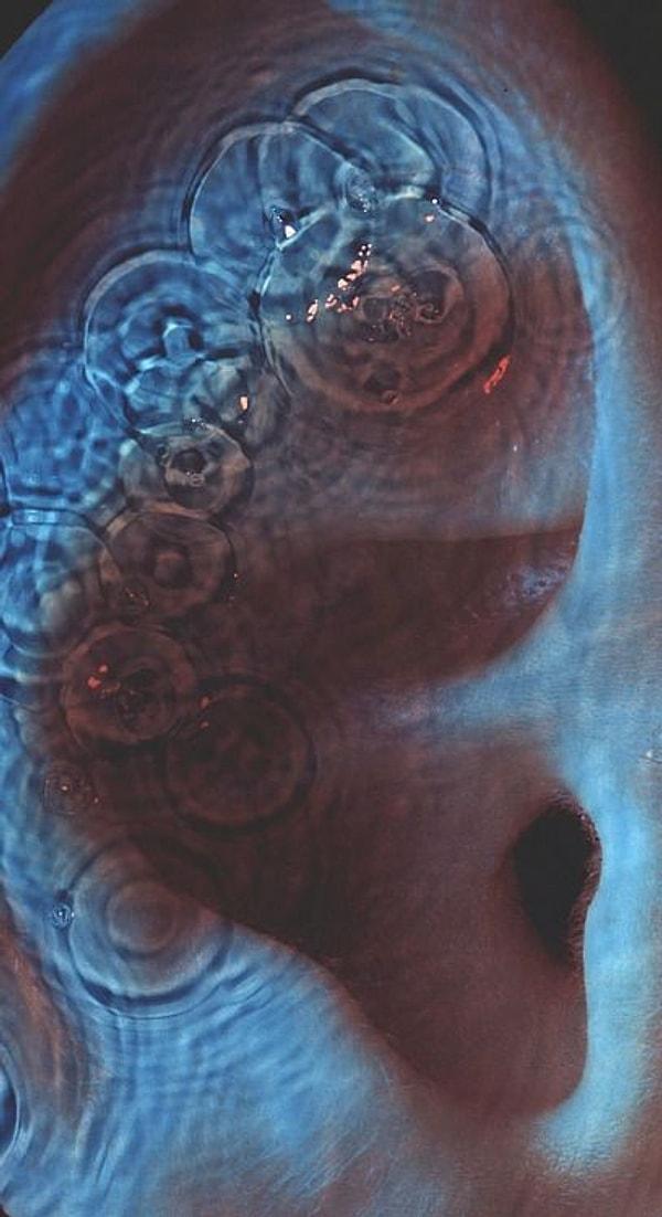 Neticede kapak yakın çekim uzmanı olan Robert Dowling’in çektiği renklendirilmiş insan kulağının üstünde üzerinde yayılan su halkalarının görüntüsünden meydana geldi.