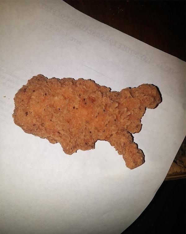 19. ABD'ye ABD kadar benzeyen tavuk parçası.