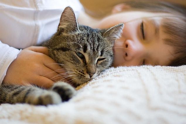 3. Cats purr at a frequency of 26 Hertz, which promotes tissue regeneration, helping them heal.