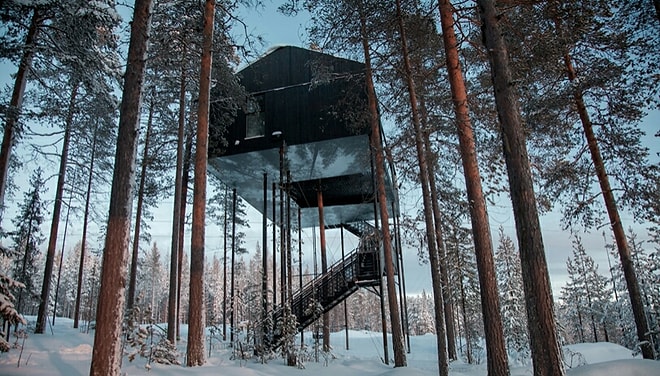 Новый вид отдыха: отель, построенный на дереве