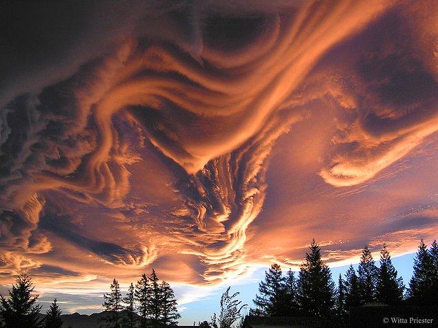 4. Yeni Zelanda üzerinde asperatus bulutlar.