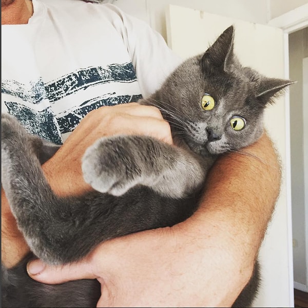 5. Кевин обожает обниматься и играть в своем "секретном месте".