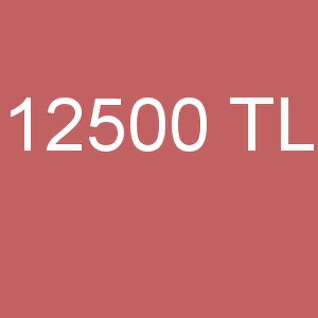 12.500 TL!