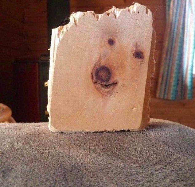 14. Odun parçasının üstünde, minnoş bir köpeği andıran lekeler.